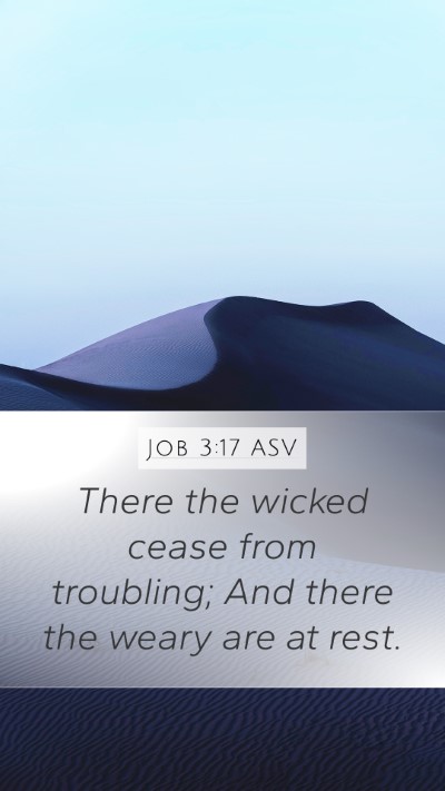 Job 3:17 ASV Bible Verse Image