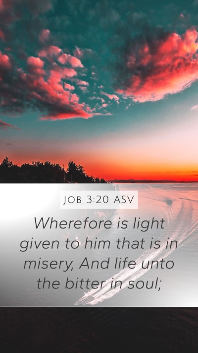 Job 3:20 ASV Bible Verse Image