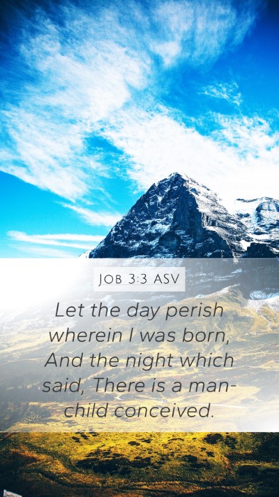 Job 3:3 ASV Bible Verse Image