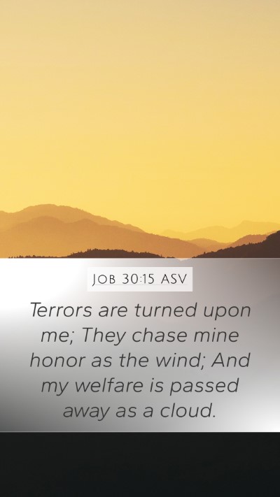 Job 30:15 ASV Bible Verse Image