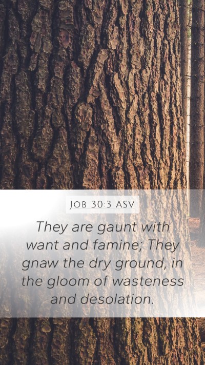Job 30:3 ASV Bible Verse Image