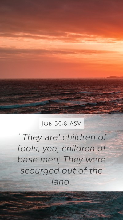 Job 30:8 ASV Bible Verse Image