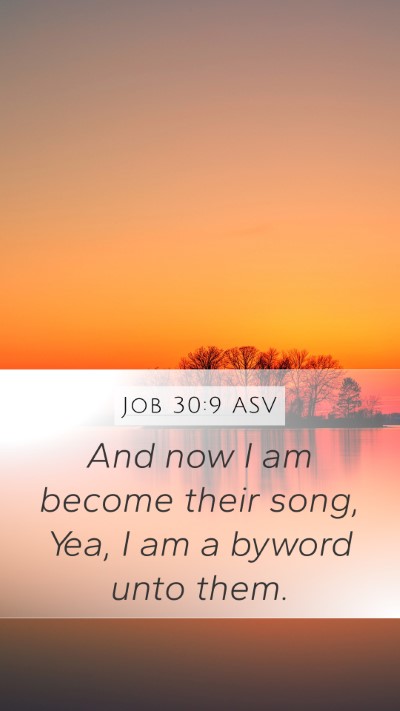 Job 30:9 ASV Bible Verse Image