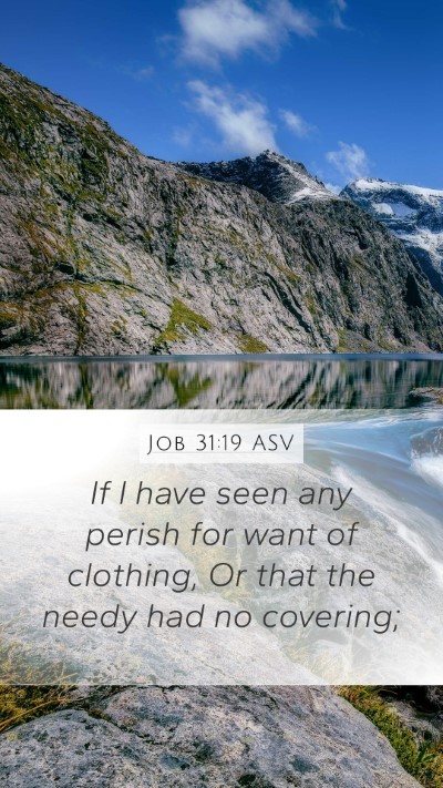 Job 31:19 ASV Bible Verse Image