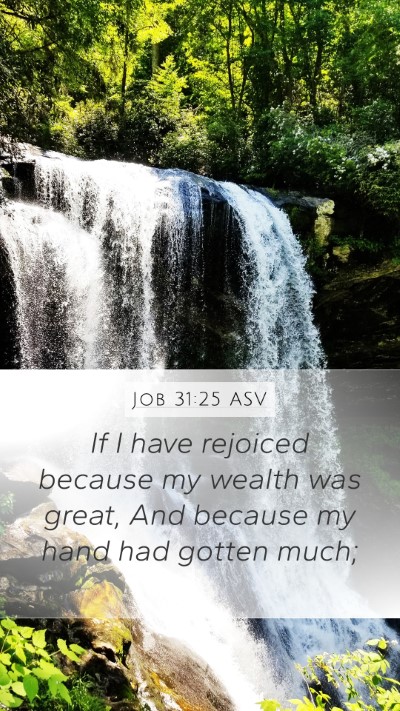 Job 31:25 ASV Bible Verse Image