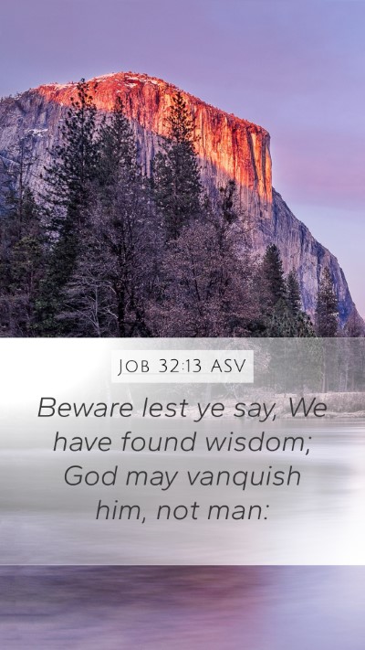 Job 32:13 ASV Bible Verse Image