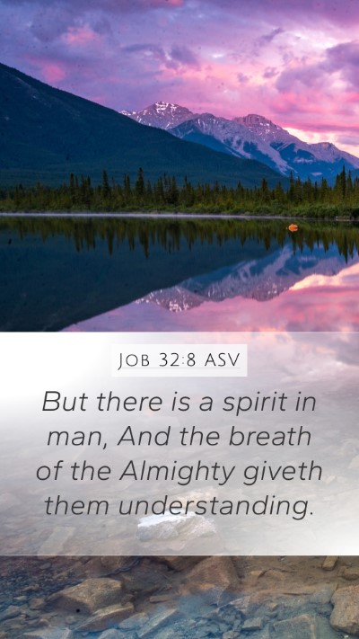 Job 32:8 ASV Bible Verse Image