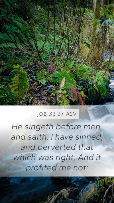 Job 33:27 ASV Bible Verse Image