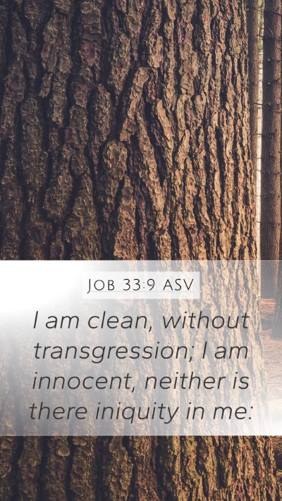Job 33:9 ASV Bible Verse Image