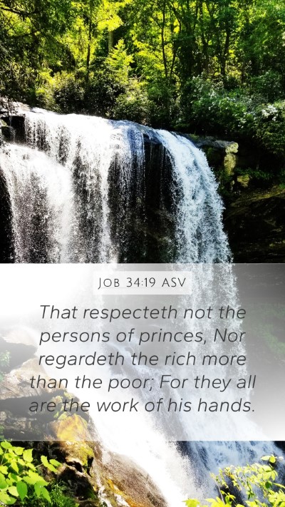 Job 34:19 ASV Bible Verse Image