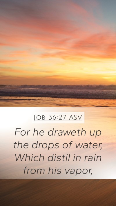 Job 36:27 ASV Bible Verse Image