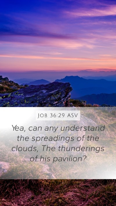 Job 36:29 ASV Bible Verse Image