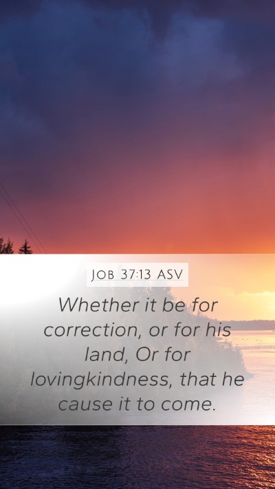 Job 37:13 ASV Mobile Phone Wallpaper - Whether it be for correction, or for his land, Or - Mobile Bible Verse Wallpaper