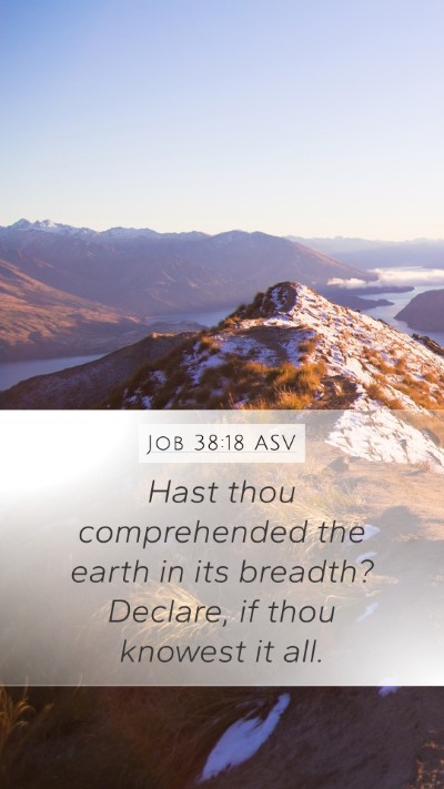 Job 38:18 ASV Mobile Phone Wallpaper - Hast thou comprehended the earth in its breadth? - Mobile Bible Verse Wallpaper