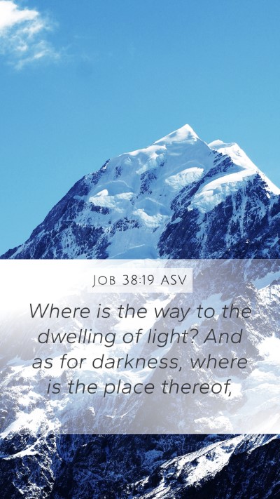 Job 38:19 ASV Bible Verse Image