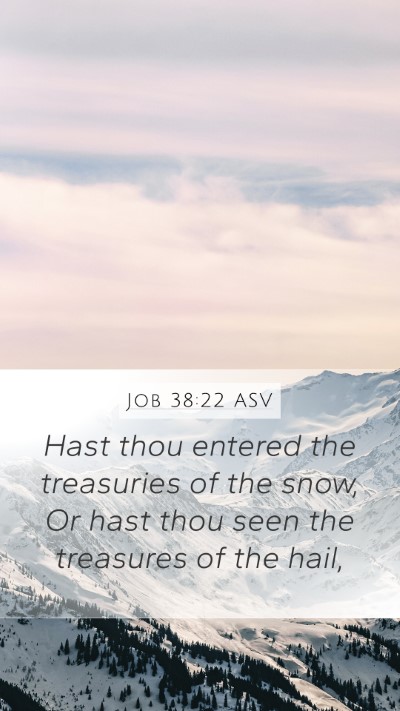 Job 38:22 ASV Bible Verse Image