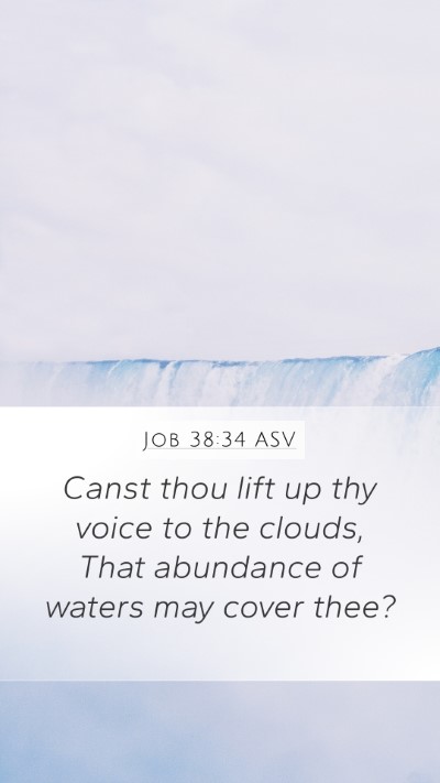 Job 38:34 ASV Bible Verse Image