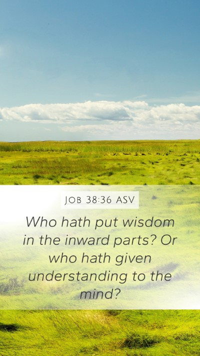 Job 38:36 ASV Bible Verse Image