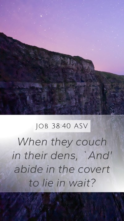 Job 38:40 ASV Mobile Phone Wallpaper - When they couch in their dens, `And' abide in the - Mobile Bible Verse Wallpaper