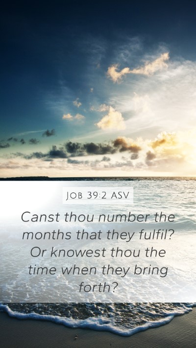 Job 39:2 ASV Mobile Phone Wallpaper - Canst thou number the months that they fulfil? Or - Mobile Bible Verse Wallpaper