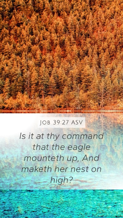 Job 39:27 ASV Bible Verse Image