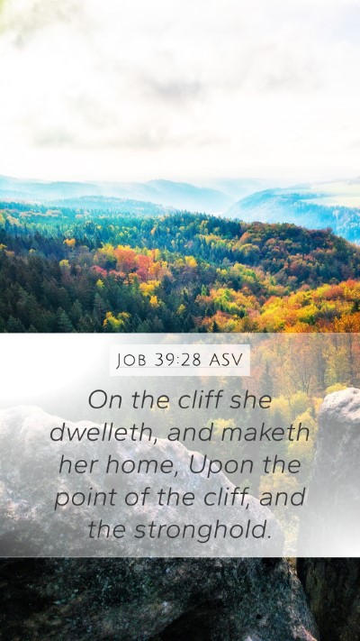 Job 39:28 ASV Mobile Phone Wallpaper - On the cliff she dwelleth, and maketh her home, - Mobile Bible Verse Wallpaper
