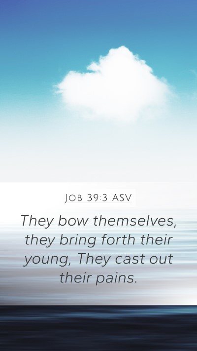 Job 39:3 ASV Mobile Phone Wallpaper - They bow themselves, they bring forth their - Mobile Bible Verse Wallpaper