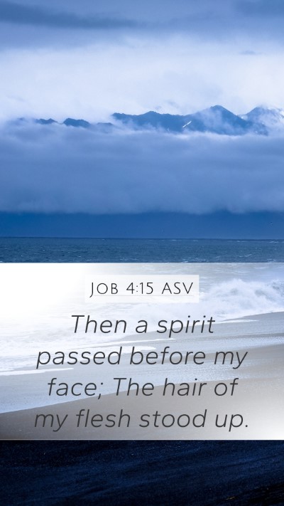 Job 4:15 ASV Mobile Phone Wallpaper - Then a spirit passed before my face; The hair of - Mobile Bible Verse Wallpaper