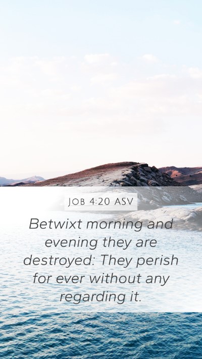 Job 4:20 ASV Bible Verse Image