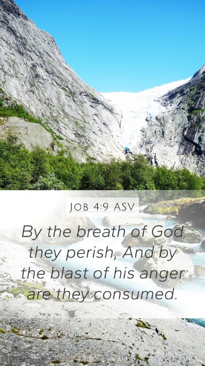 Job 4:9 ASV Bible Verse Image