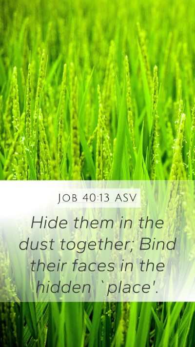 Job 40:13 ASV Bible Verse Image