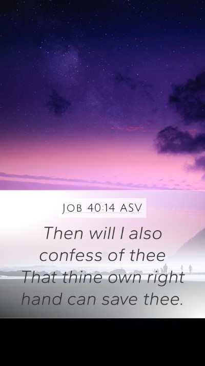 Job 40:14 ASV Bible Verse Image