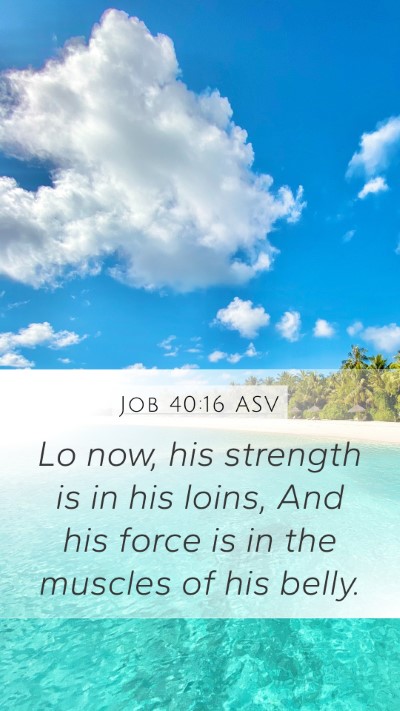 Job 40:16 ASV Bible Verse Image