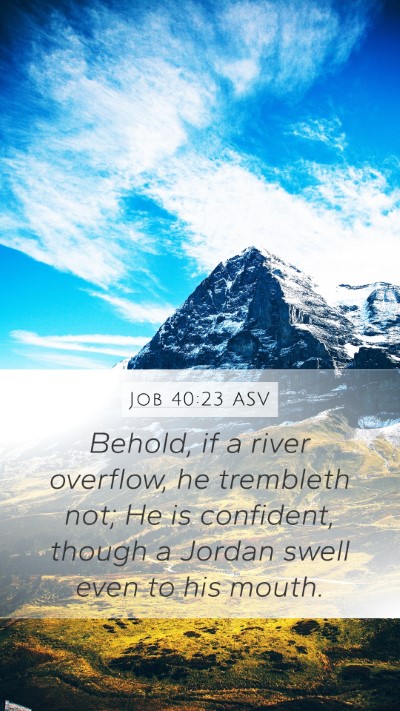 Job 40:23 ASV Mobile Phone Wallpaper - Behold, if a river overflow, he trembleth not; He - Mobile Bible Verse Wallpaper
