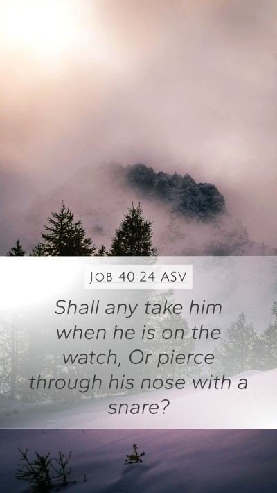 Job 40:24 ASV Mobile Phone Wallpaper - Shall any take him when he is on the watch, Or - Mobile Bible Verse Wallpaper