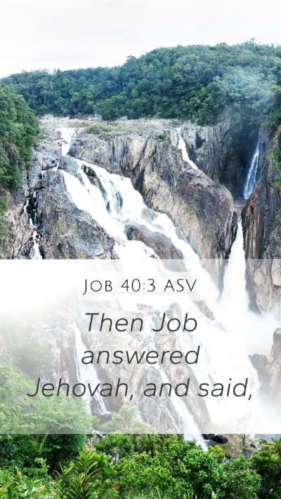 Job 40:3 ASV Bible Verse Image