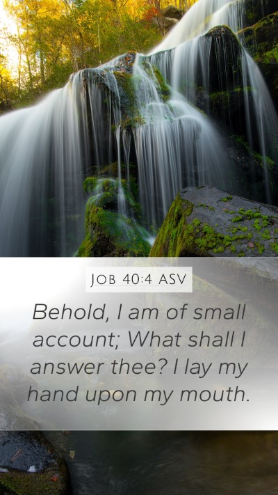 Job 40:4 ASV Bible Verse Image