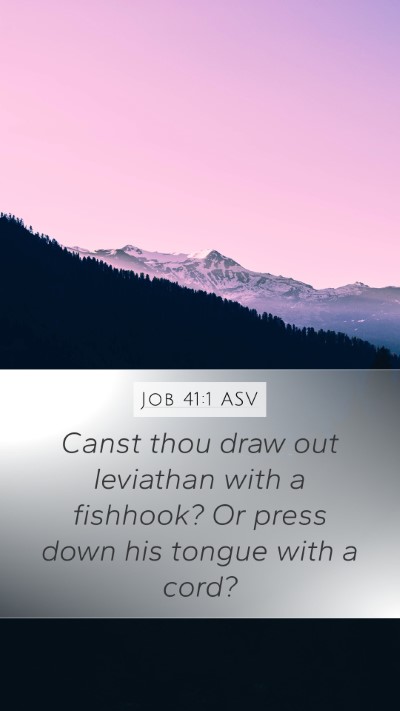 Job 41:1 ASV Bible Verse Image