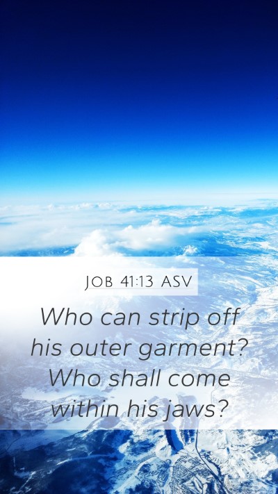Job 41:13 ASV Mobile Phone Wallpaper - Who can strip off his outer garment? Who shall - Mobile Bible Verse Wallpaper