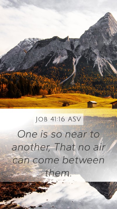 Job 41:16 ASV Mobile Phone Wallpaper - One is so near to another, That no air can come - Mobile Bible Verse Wallpaper