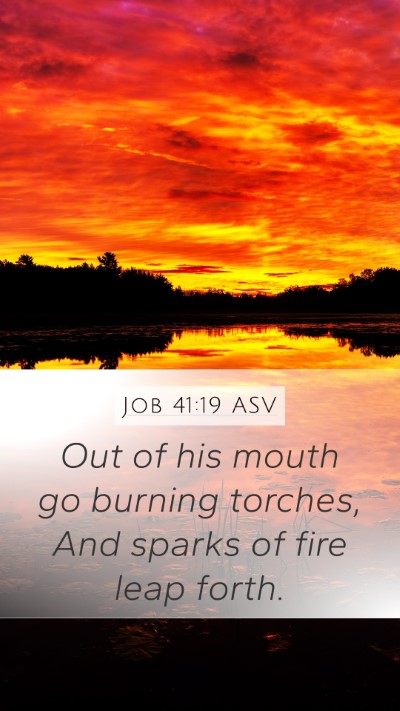Job 41:19 ASV Mobile Phone Wallpaper - Out of his mouth go burning torches, And sparks - Mobile Bible Verse Wallpaper