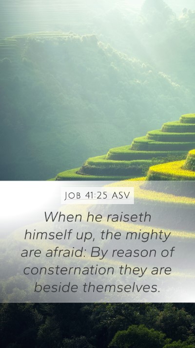 Job 41:25 ASV Bible Verse Image