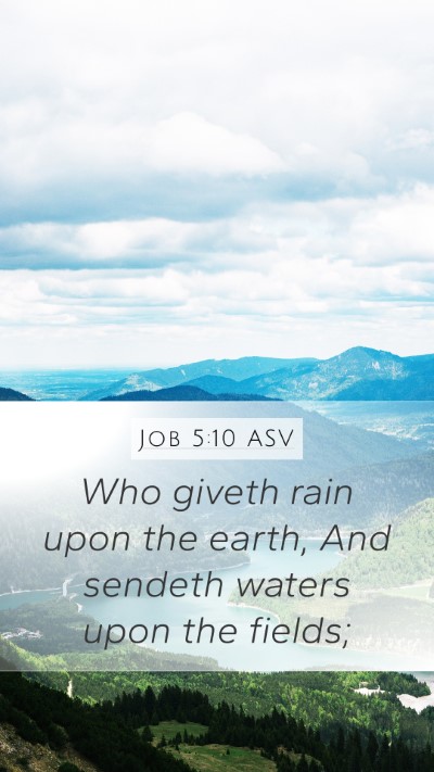Job 5:10 ASV Bible Verse Image
