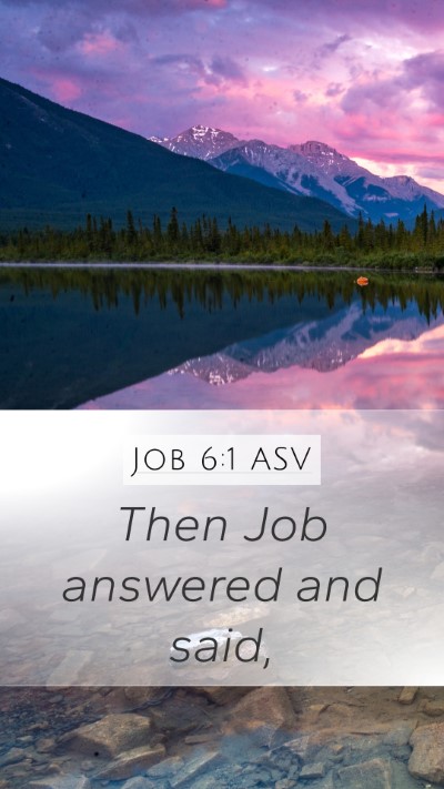Job 6:1 ASV Mobile Phone Wallpaper - Then Job answered and - Mobile Bible Verse Wallpaper