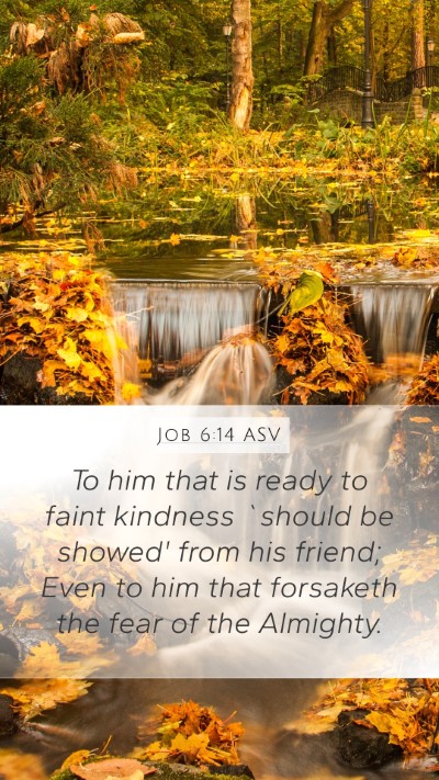 Job 6:14 ASV Bible Verse Image
