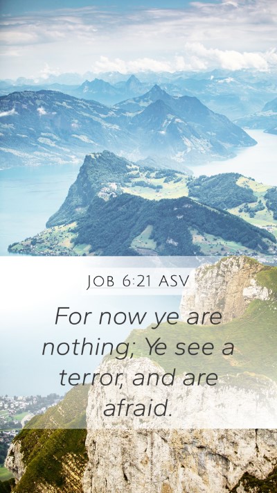 Job 6:21 ASV Bible Verse Image