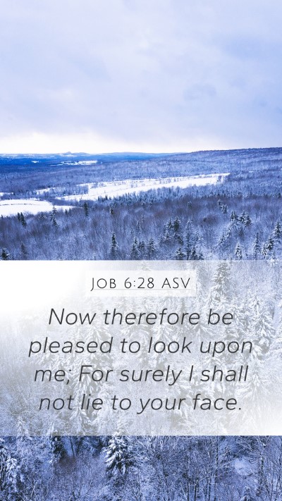 Job 6:28 ASV Bible Verse Image