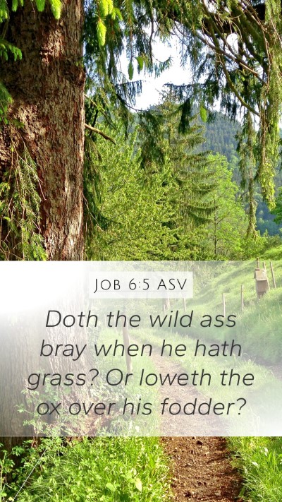 Job 6:5 ASV Mobile Phone Wallpaper - Doth the wild ass bray when he hath grass? Or - Mobile Bible Verse Wallpaper