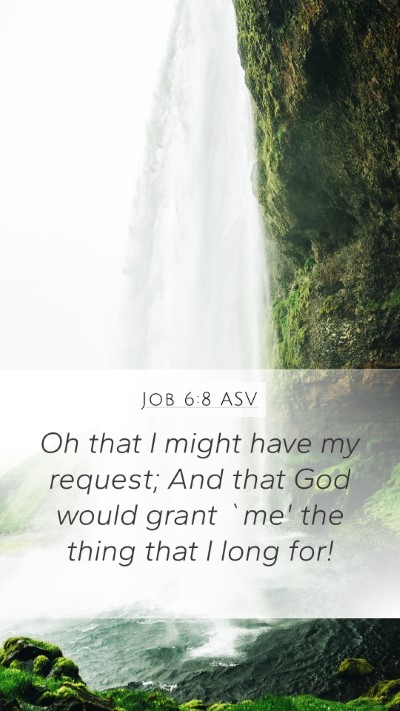 Job 6:8 ASV Bible Verse Image