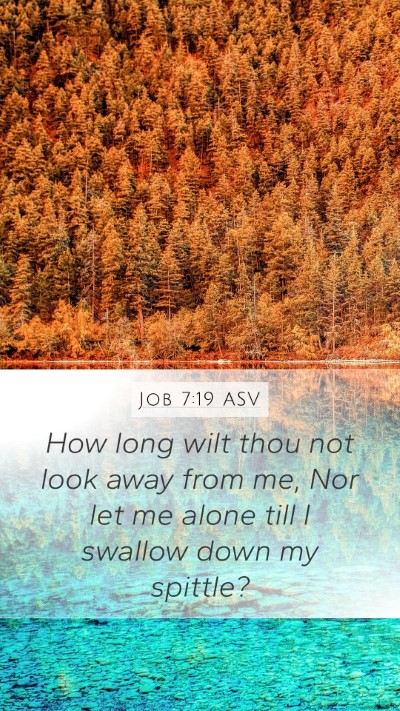 Job 7:19 ASV Mobile Phone Wallpaper - How long wilt thou not look away from me, Nor let - Mobile Bible Verse Wallpaper